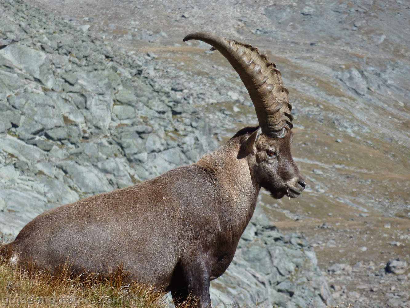 rando vanoise_07